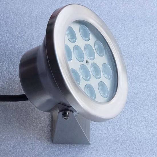 Water Crown Underwater Pool Water Stainless Steel Fountain Lamp Waterproof IP68 3W 36W Water LED Fountain Light